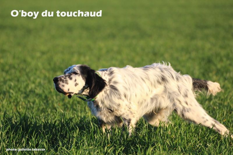 Du Touchaud - à céder fin août 2019