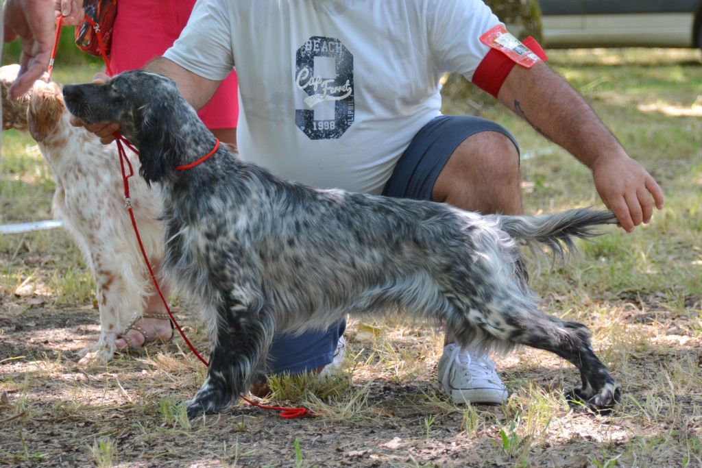 Du Touchaud - TAC Villetoureix 20 07 2019