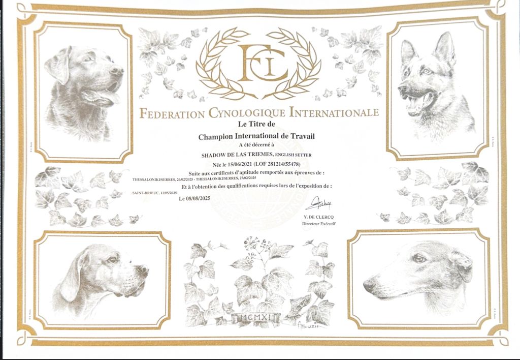 Championne Internationale de Travail